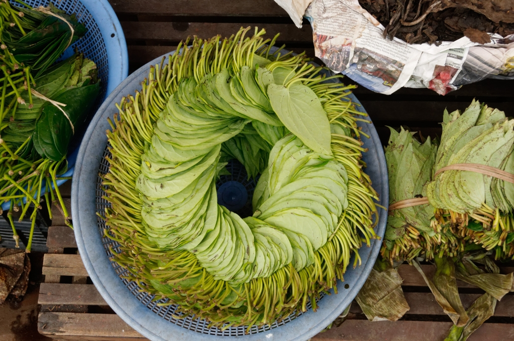 Feuilles de bétel