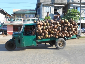 myeik noix de coco
