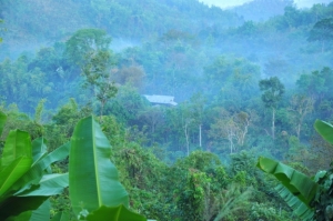 village karen thailande letongku en thailande village karen proche de la birmanie