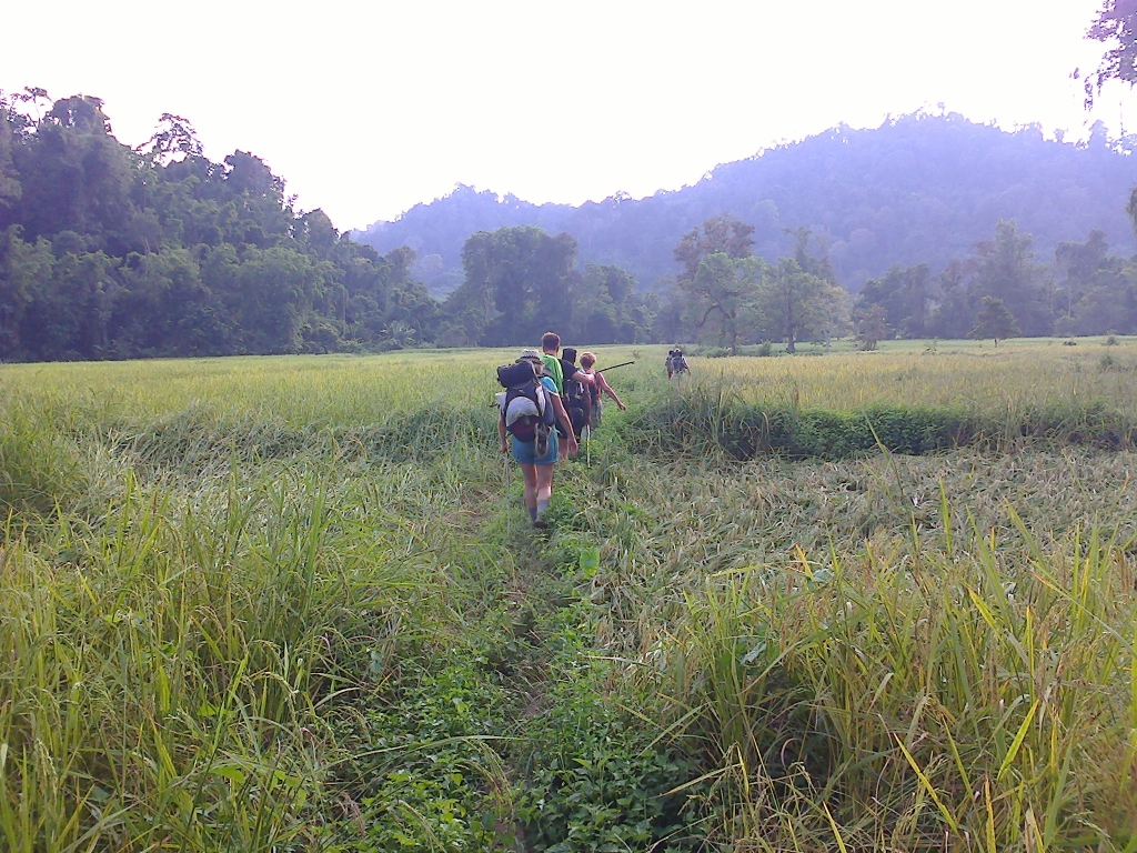 trek Thailande- Forets et rizieres