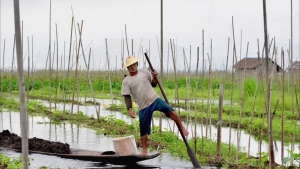 plateau shan lac Inle jardins flottants