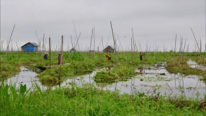 plateau shan lac Inle Myanmar